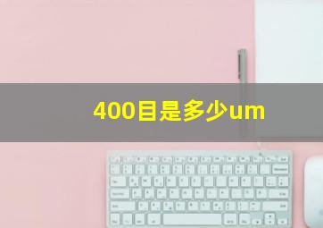 400目是多少um