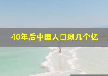 40年后中国人口剩几个亿