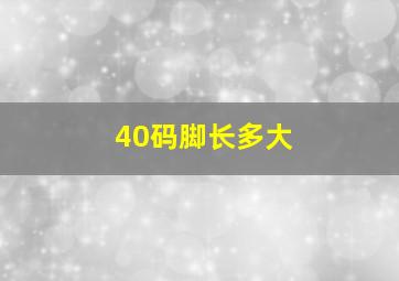 40码脚长多大