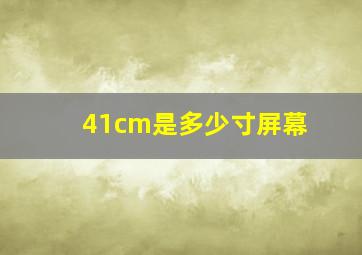 41cm是多少寸屏幕