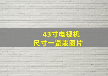 43寸电视机尺寸一览表图片