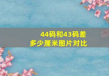 44码和43码差多少厘米图片对比