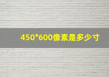 450*600像素是多少寸