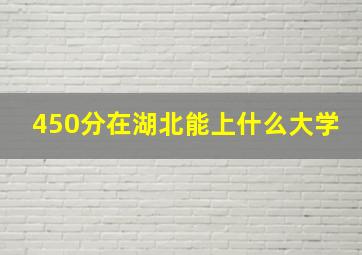 450分在湖北能上什么大学