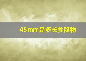 45mm是多长参照物