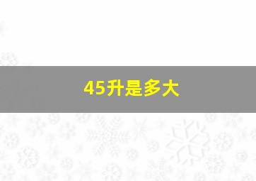 45升是多大