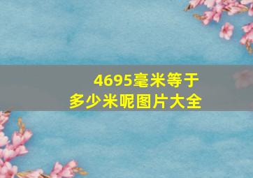 4695毫米等于多少米呢图片大全