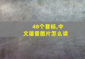 48个音标,中文谐音图片怎么读