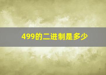 499的二进制是多少