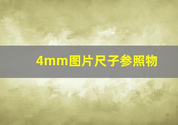 4mm图片尺子参照物