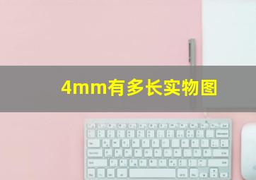 4mm有多长实物图