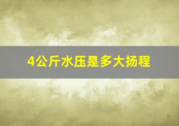 4公斤水压是多大扬程