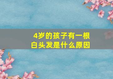 4岁的孩子有一根白头发是什么原因