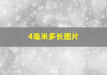 4毫米多长图片