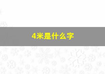 4米是什么字