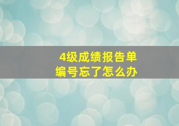 4级成绩报告单编号忘了怎么办