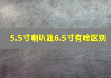 5.5寸喇叭跟6.5寸有啥区别