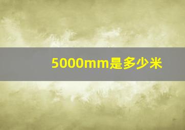 5000mm是多少米