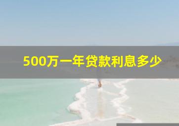 500万一年贷款利息多少