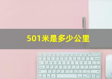 501米是多少公里