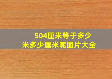 504厘米等于多少米多少厘米呢图片大全