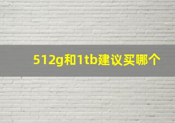 512g和1tb建议买哪个