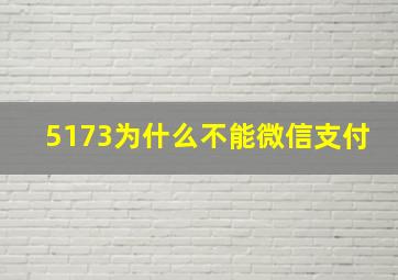 5173为什么不能微信支付