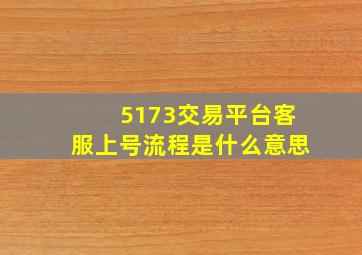 5173交易平台客服上号流程是什么意思