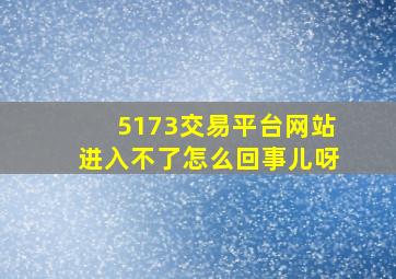 5173交易平台网站进入不了怎么回事儿呀