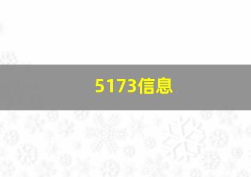 5173信息