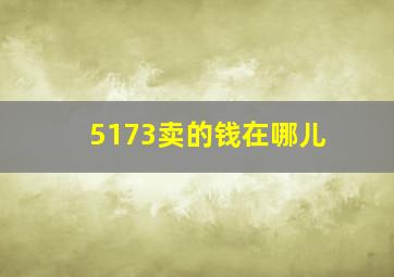 5173卖的钱在哪儿