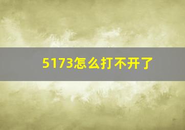 5173怎么打不开了