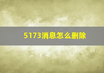 5173消息怎么删除