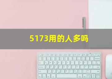 5173用的人多吗