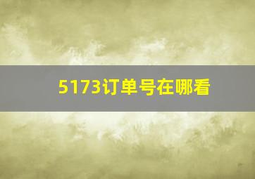 5173订单号在哪看