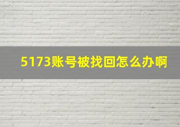 5173账号被找回怎么办啊