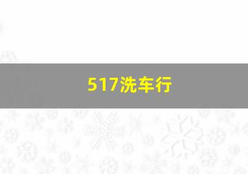 517洗车行