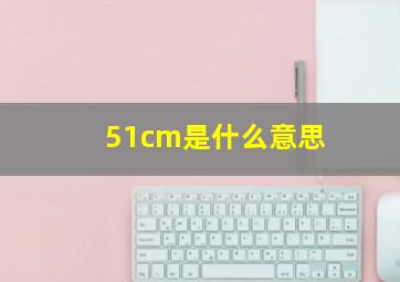 51cm是什么意思