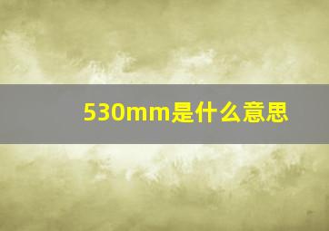 530mm是什么意思