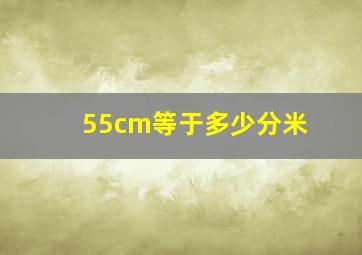 55cm等于多少分米