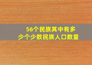 56个民族其中有多少个少数民族人口数量