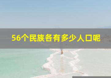 56个民族各有多少人口呢