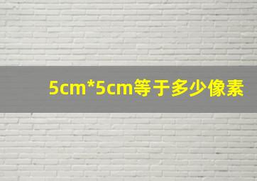 5cm*5cm等于多少像素