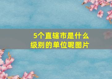 5个直辖市是什么级别的单位呢图片