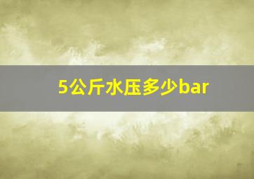 5公斤水压多少bar