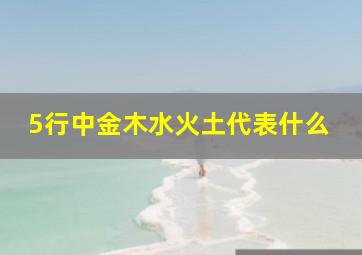 5行中金木水火土代表什么