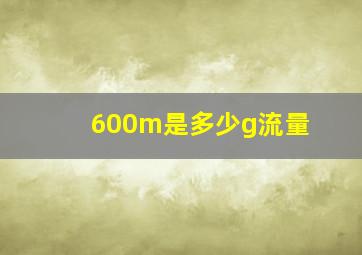 600m是多少g流量