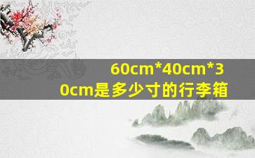 60cm*40cm*30cm是多少寸的行李箱