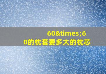 60×60的枕套要多大的枕芯