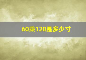 60乘120是多少寸